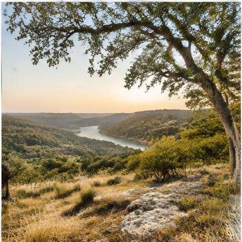 A secluded Hill Country property among oak trees in Spicewood